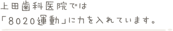 上田歯科医院では「8020運動」に力を入れています。